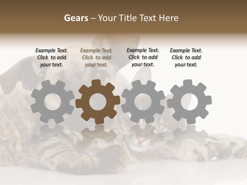 Life Woman Maine Coon PowerPoint Template