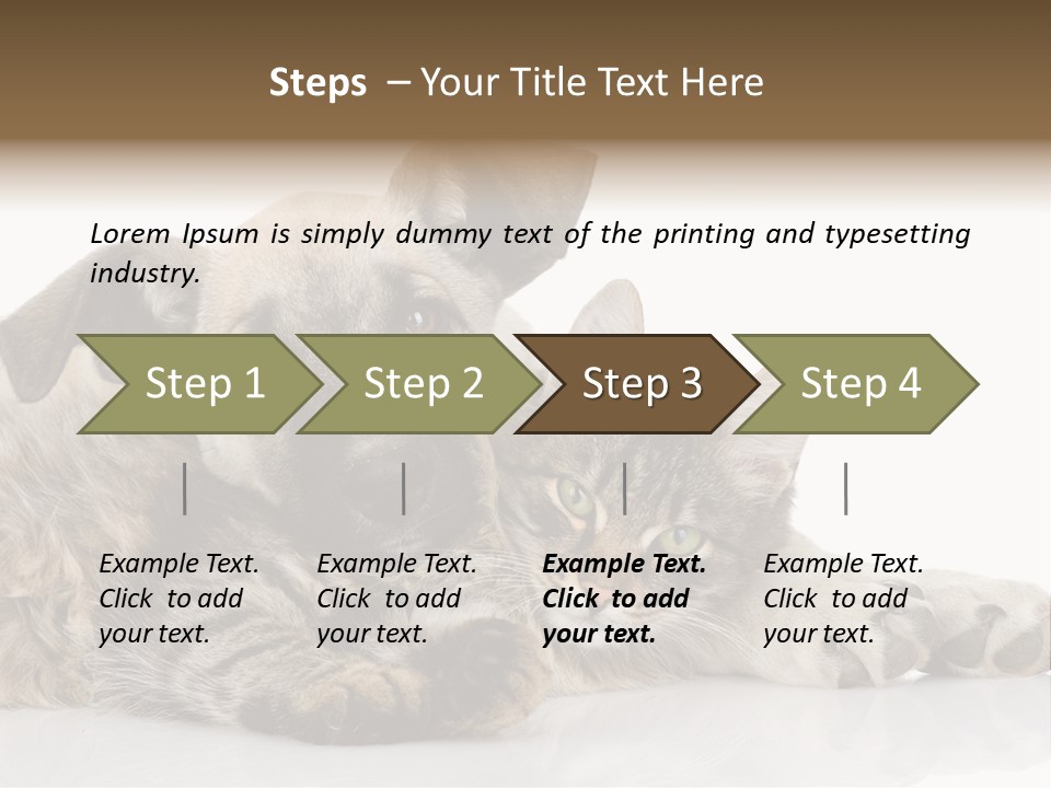 Life Woman Maine Coon PowerPoint Template