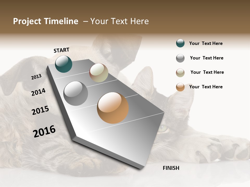 Life Woman Maine Coon PowerPoint Template