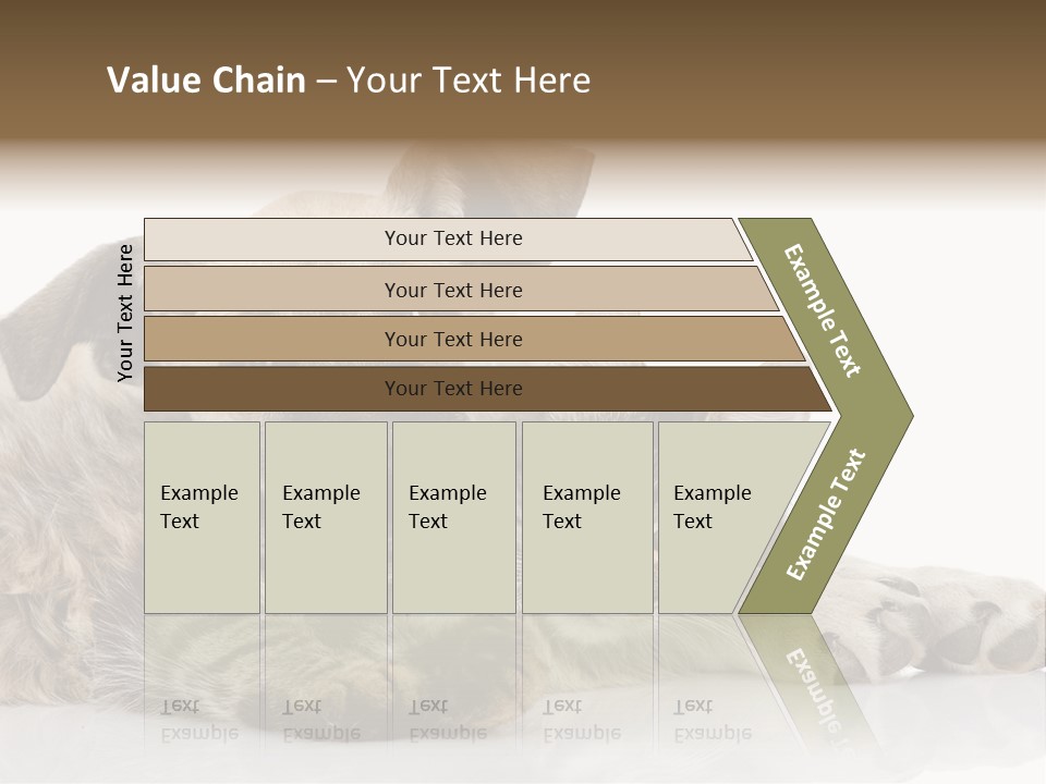 Life Woman Maine Coon PowerPoint Template