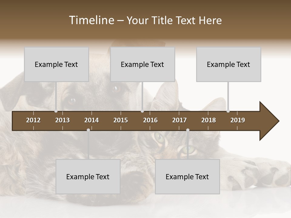 Life Woman Maine Coon PowerPoint Template