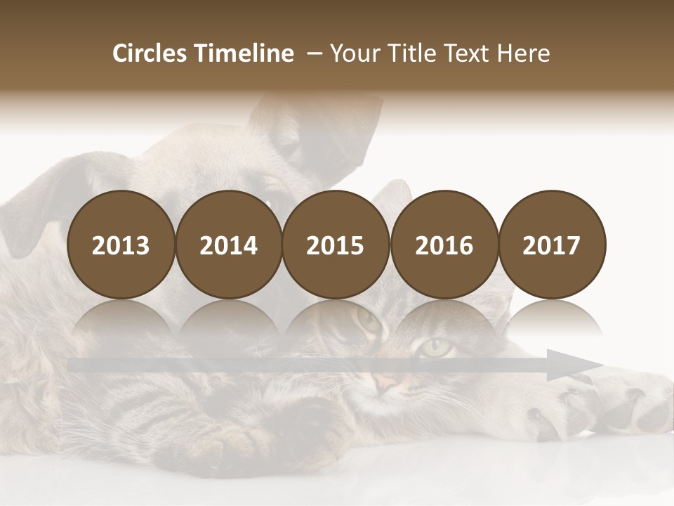 Life Woman Maine Coon PowerPoint Template