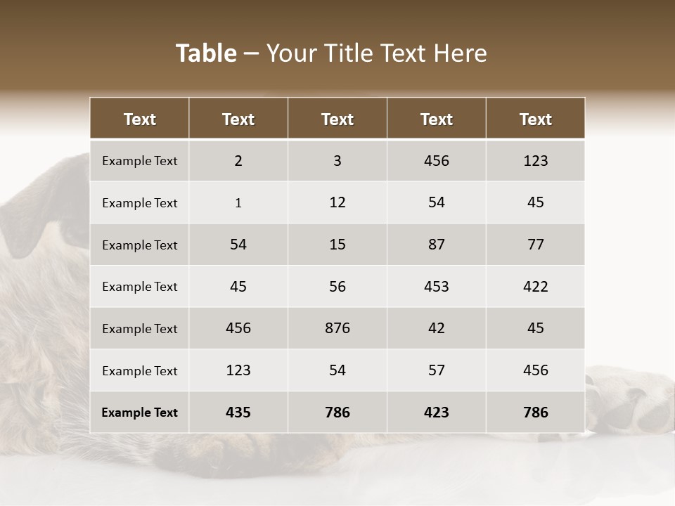 Life Woman Maine Coon PowerPoint Template