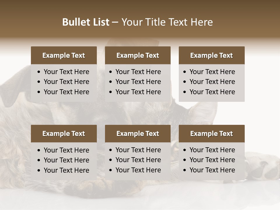 Life Woman Maine Coon PowerPoint Template