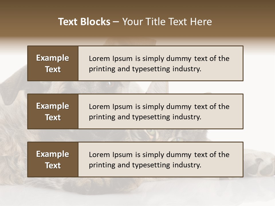 Life Woman Maine Coon PowerPoint Template