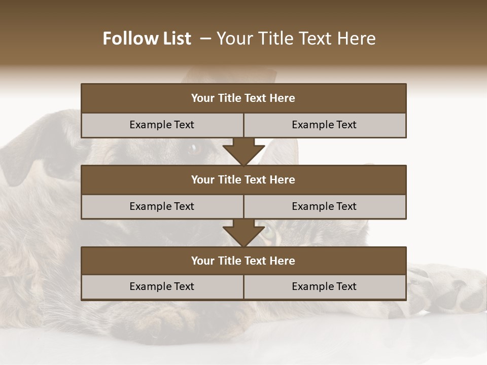 Life Woman Maine Coon PowerPoint Template