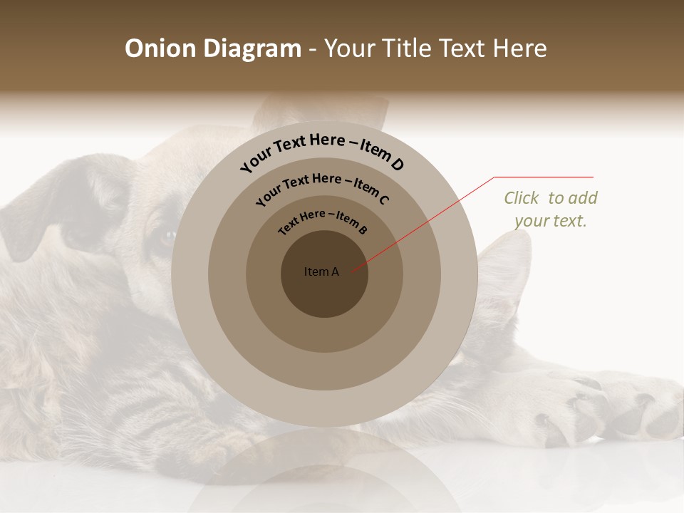 Life Woman Maine Coon PowerPoint Template