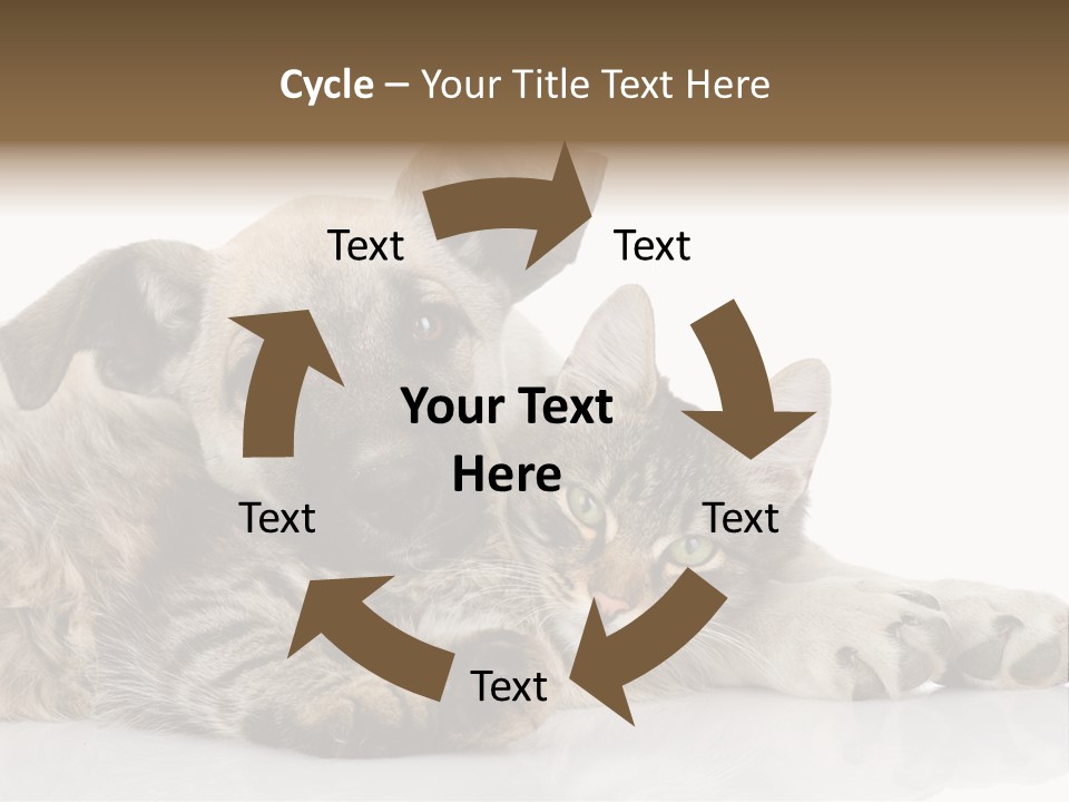 Life Woman Maine Coon PowerPoint Template