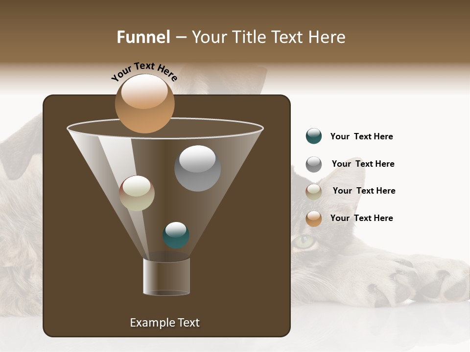 Life Woman Maine Coon PowerPoint Template