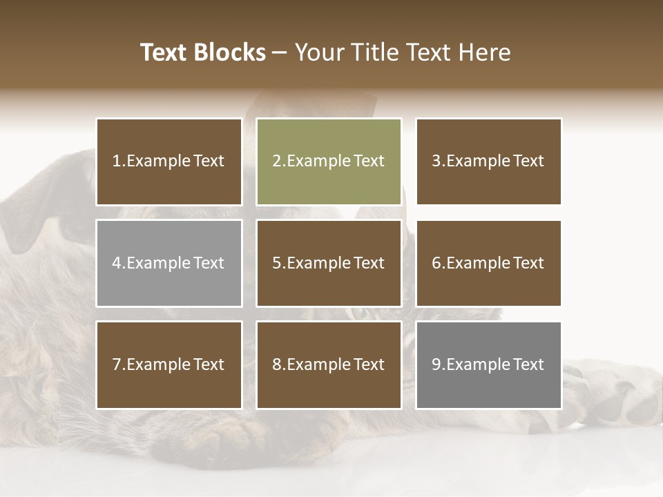 Life Woman Maine Coon PowerPoint Template