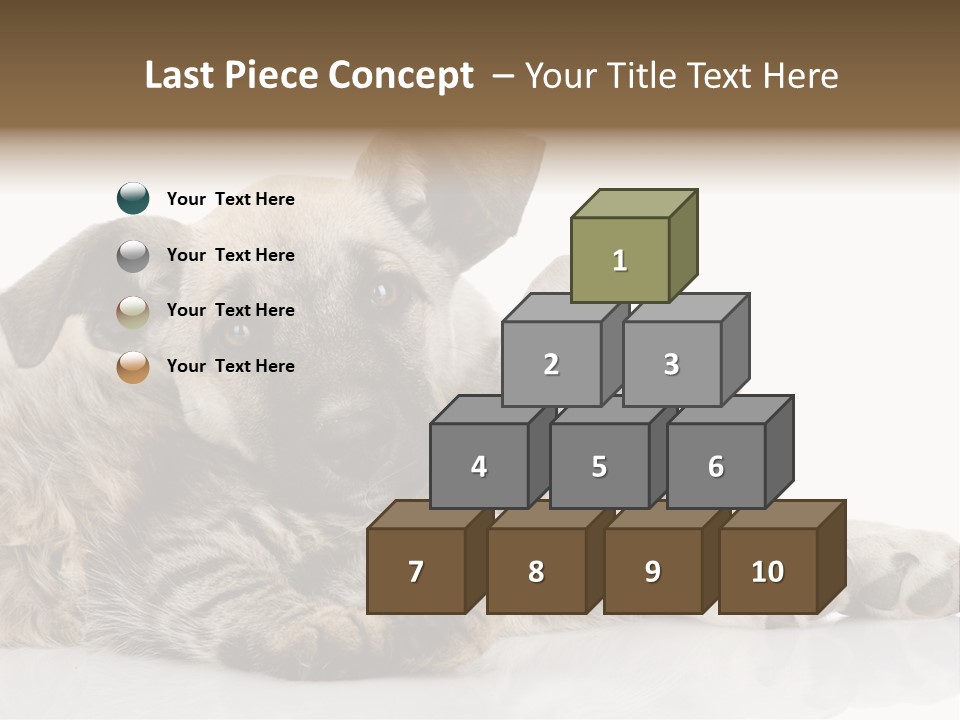 Life Woman Maine Coon PowerPoint Template