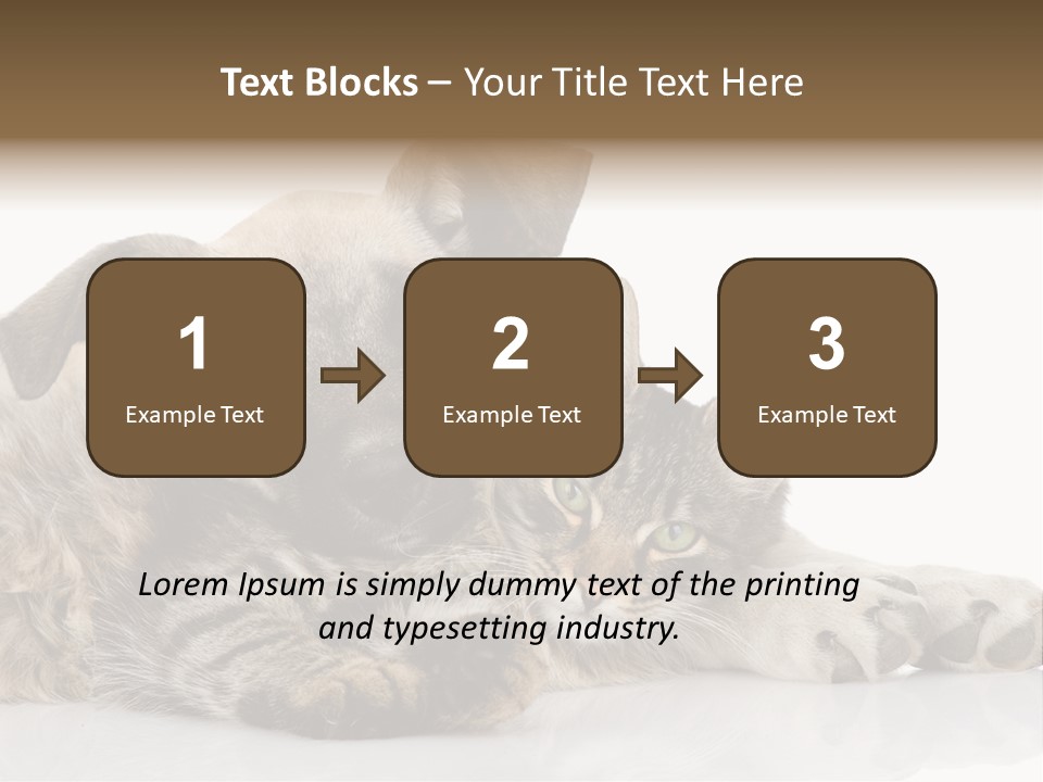 Life Woman Maine Coon PowerPoint Template