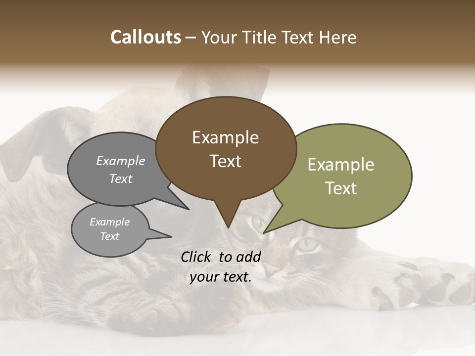 Life Woman Maine Coon PowerPoint Template