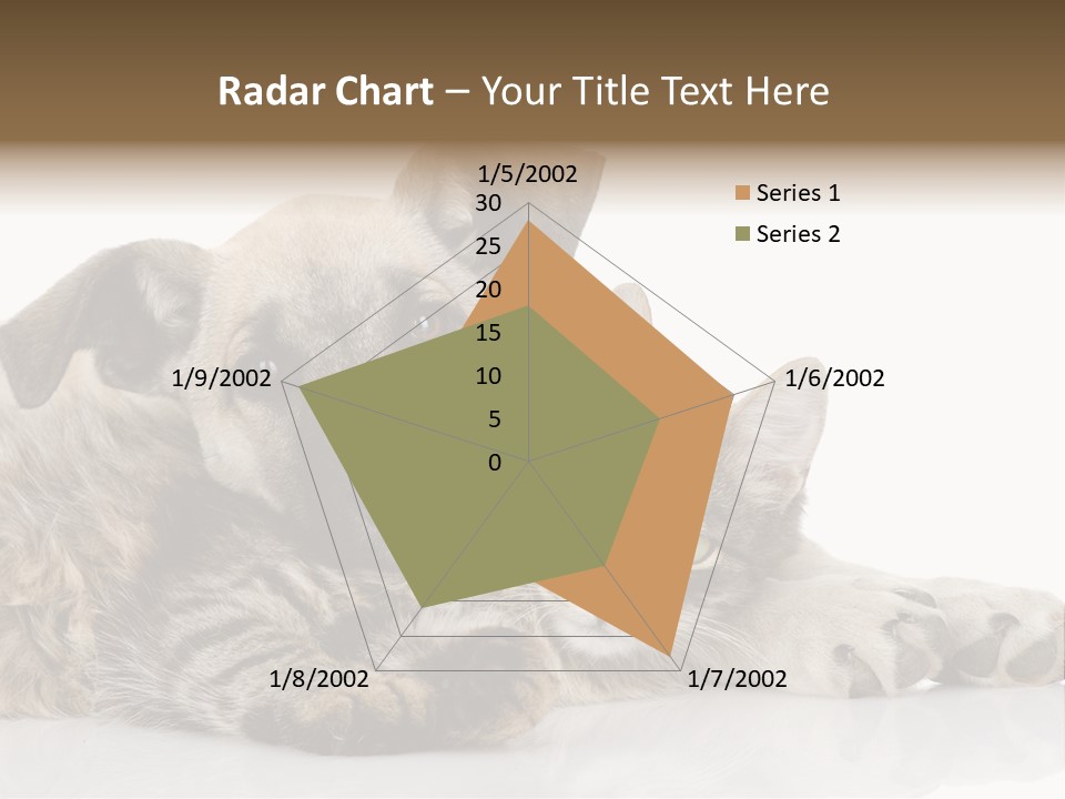 Life Woman Maine Coon PowerPoint Template