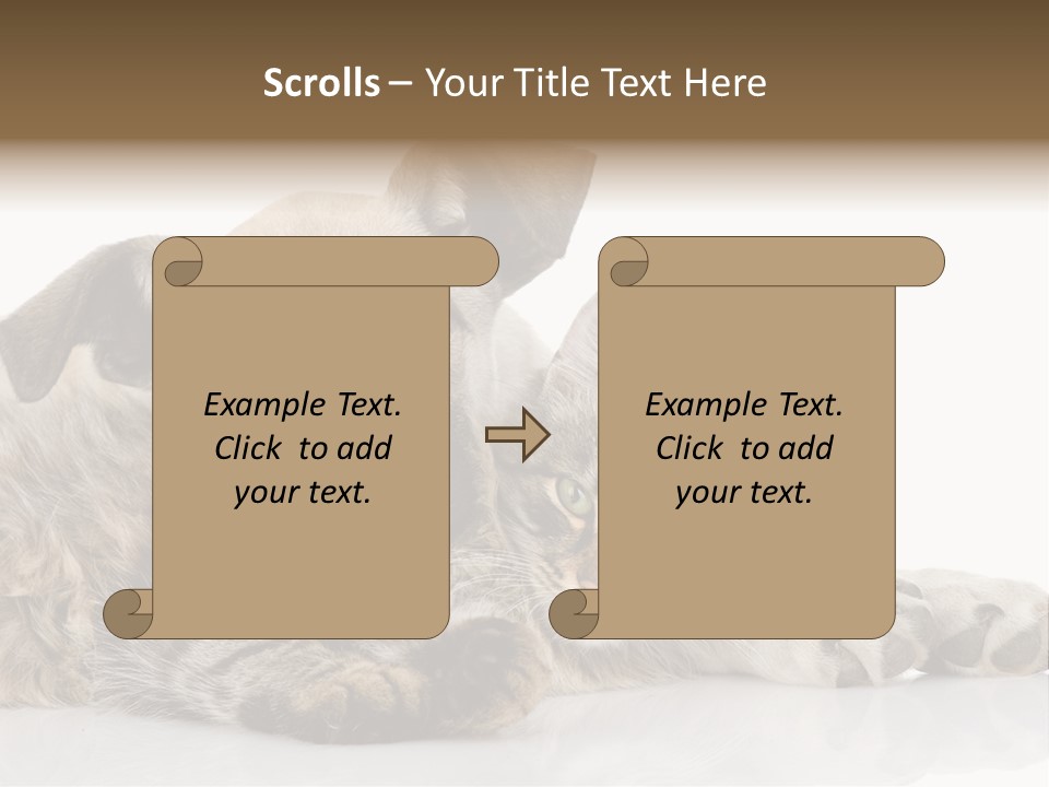 Life Woman Maine Coon PowerPoint Template