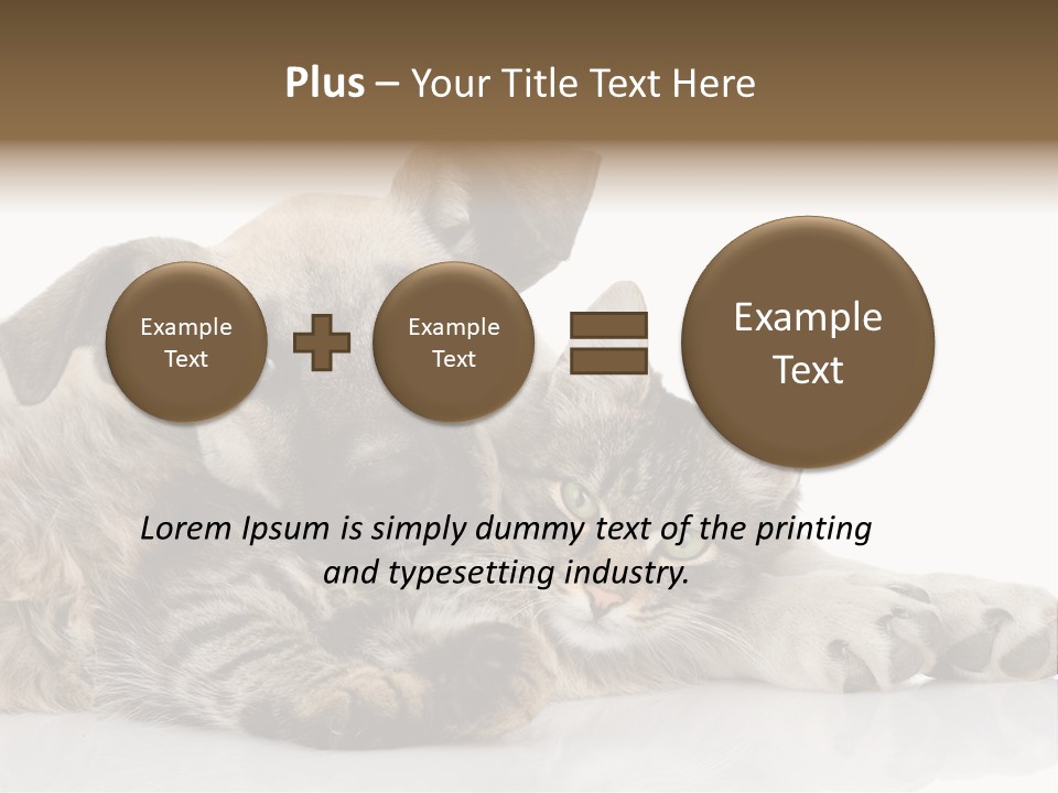 Life Woman Maine Coon PowerPoint Template