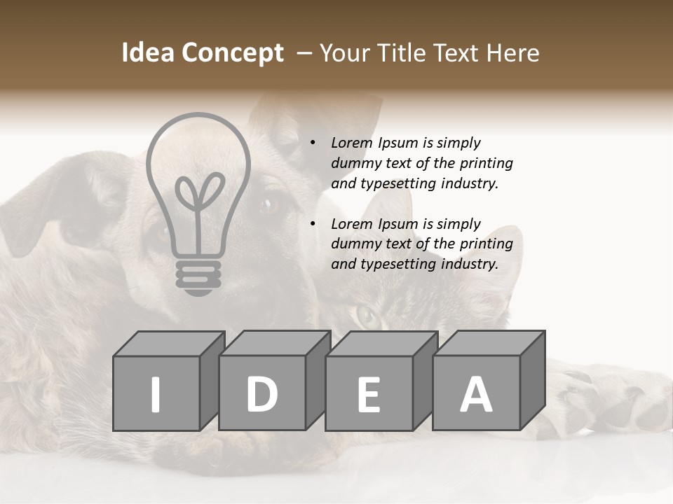 Life Woman Maine Coon PowerPoint Template