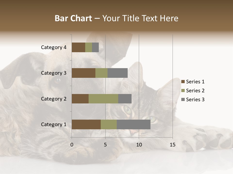 Life Woman Maine Coon PowerPoint Template