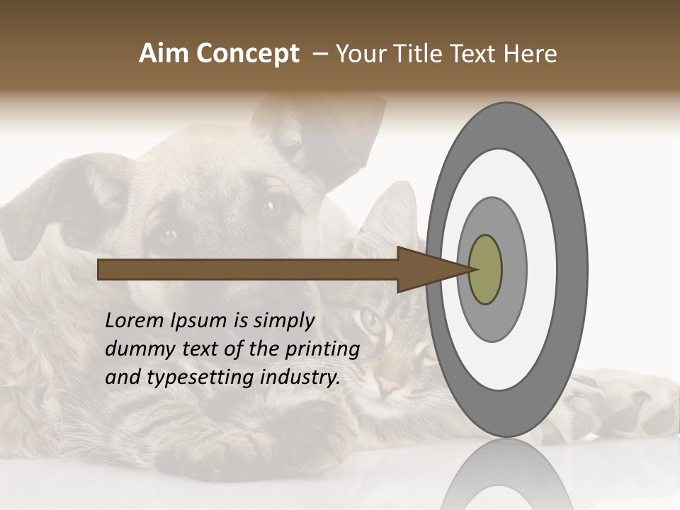 Life Woman Maine Coon PowerPoint Template