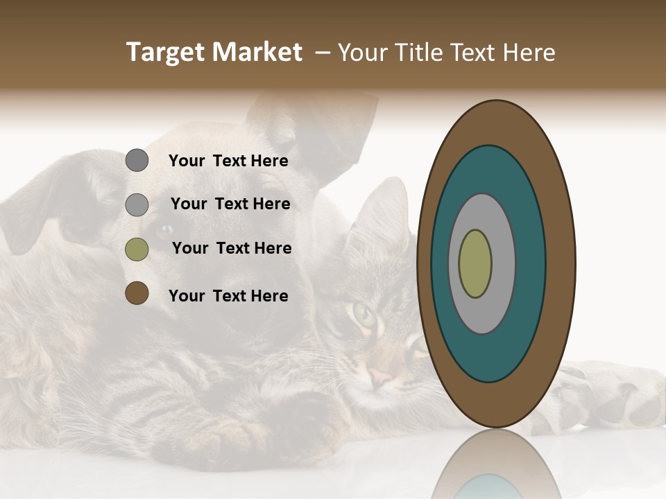 Life Woman Maine Coon PowerPoint Template