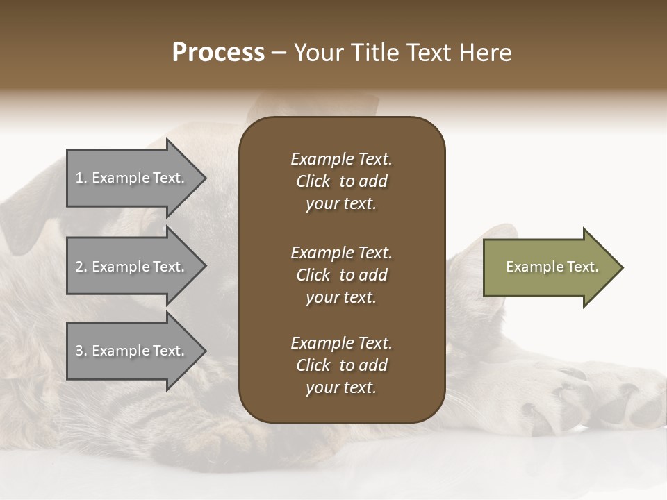 Life Woman Maine Coon PowerPoint Template