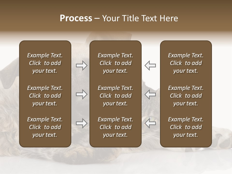 Life Woman Maine Coon PowerPoint Template