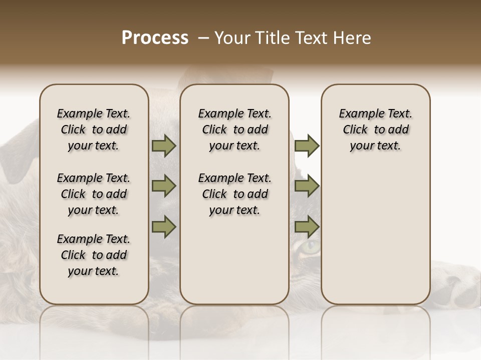 Life Woman Maine Coon PowerPoint Template