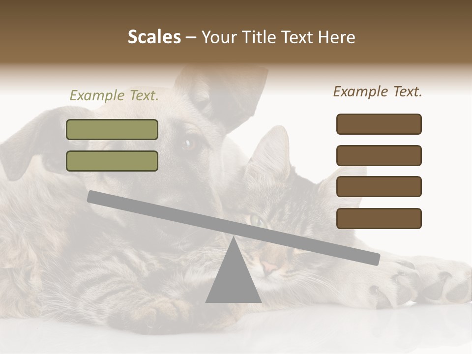 Life Woman Maine Coon PowerPoint Template