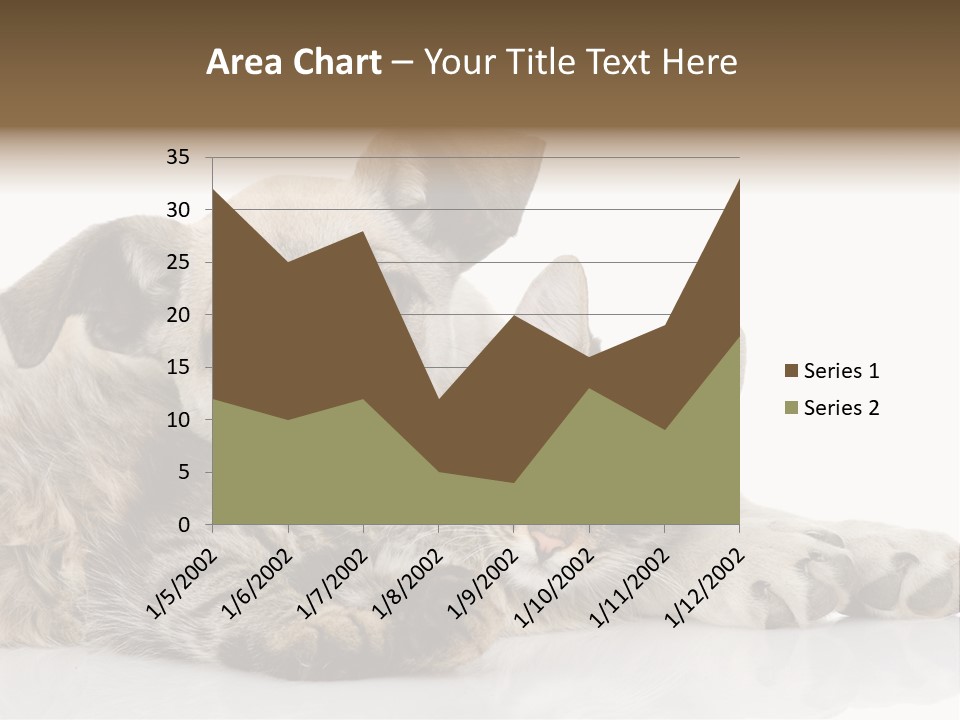 Life Woman Maine Coon PowerPoint Template