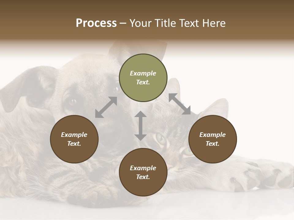 Life Woman Maine Coon PowerPoint Template