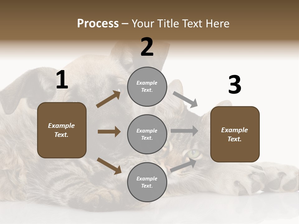 Life Woman Maine Coon PowerPoint Template