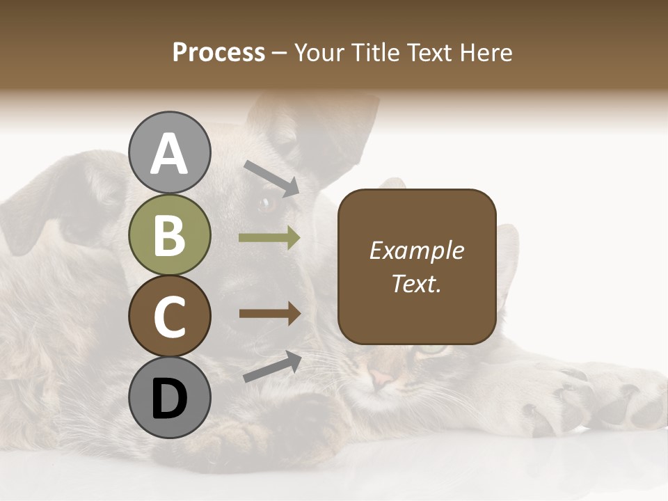 Life Woman Maine Coon PowerPoint Template