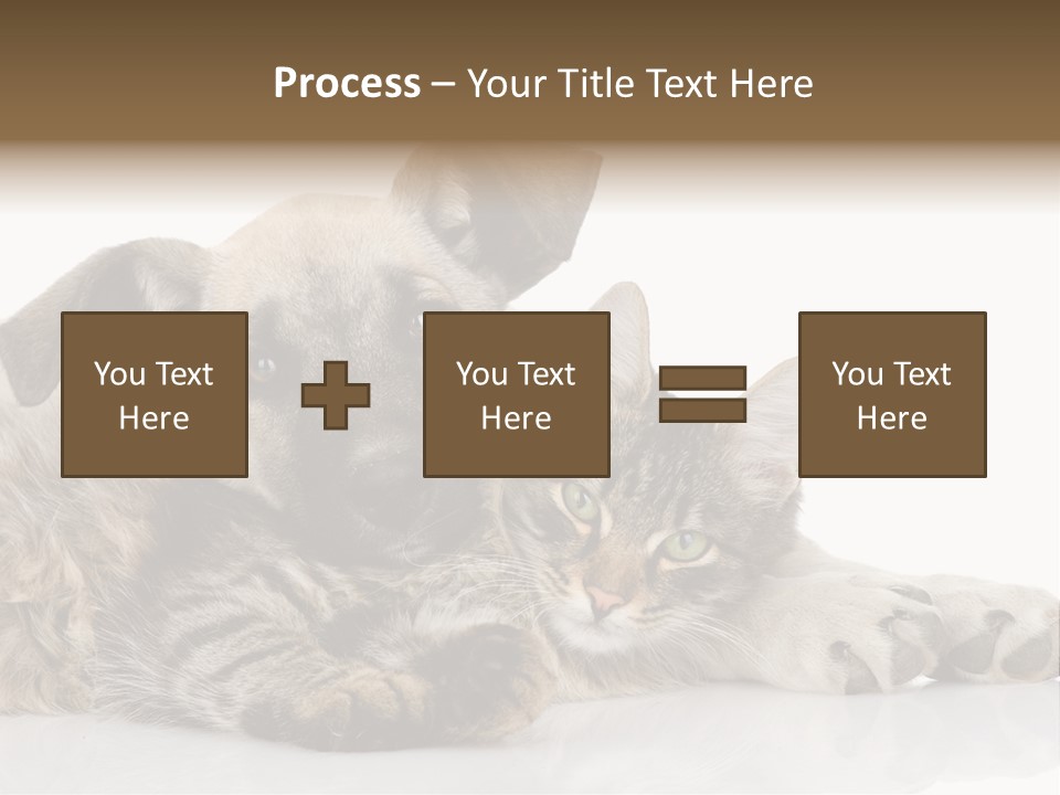 Life Woman Maine Coon PowerPoint Template