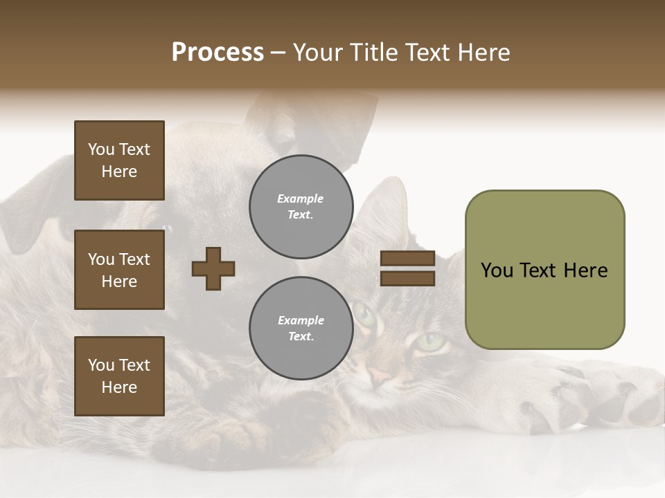 Life Woman Maine Coon PowerPoint Template