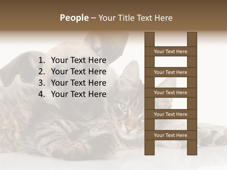 Life Woman Maine Coon PowerPoint Template