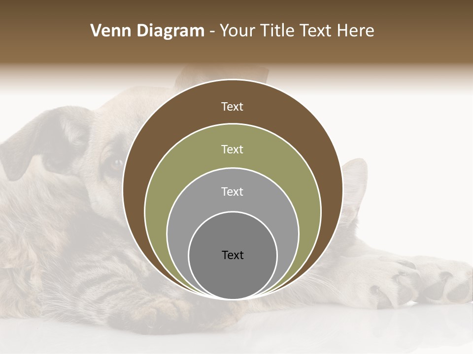 Life Woman Maine Coon PowerPoint Template