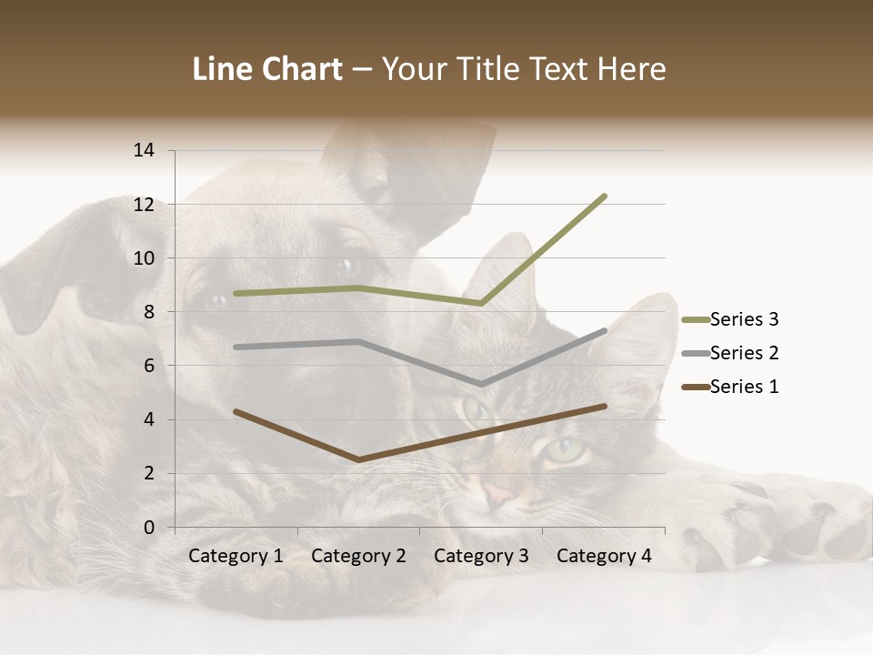 Life Woman Maine Coon PowerPoint Template