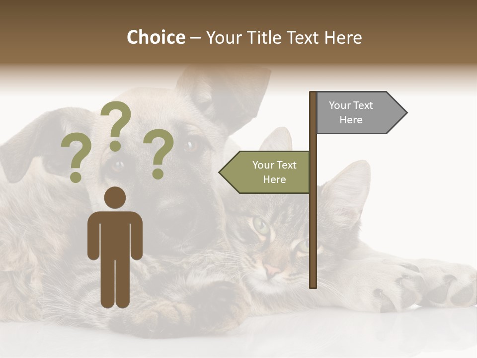 Life Woman Maine Coon PowerPoint Template