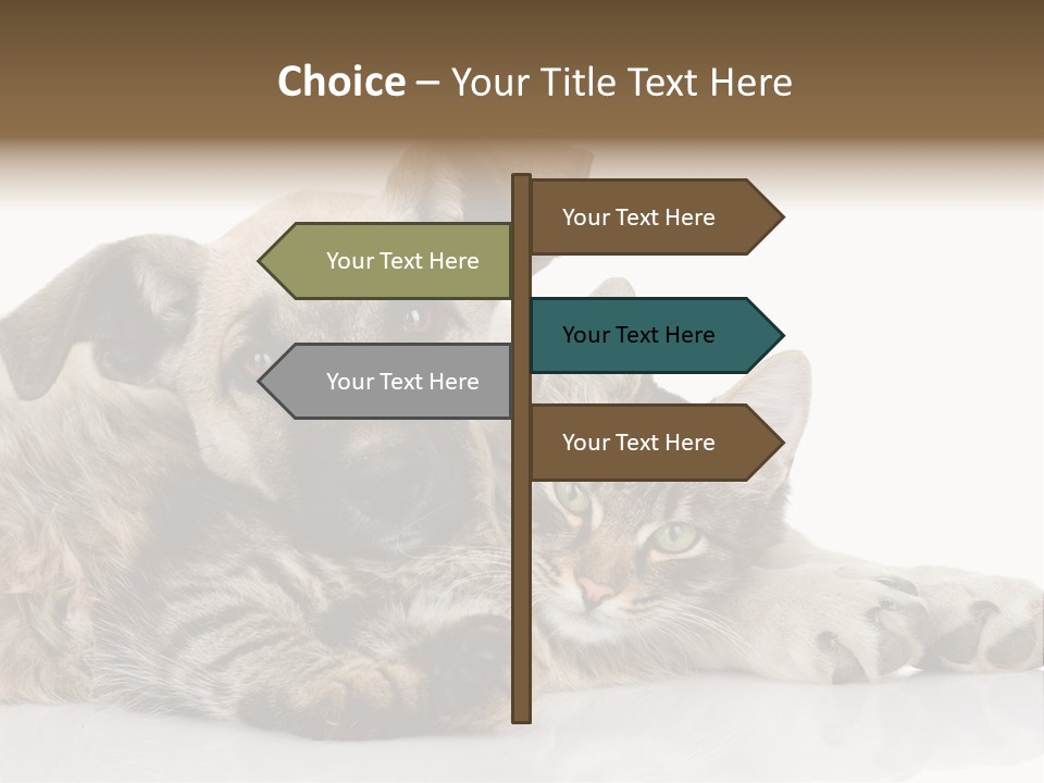 Life Woman Maine Coon PowerPoint Template