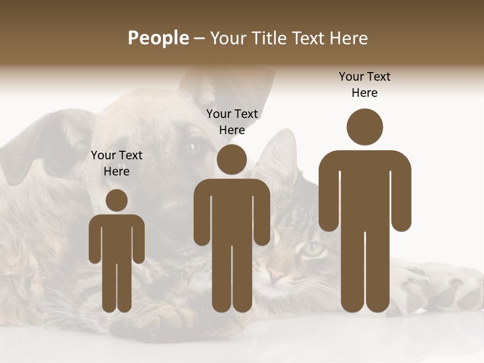 Life Woman Maine Coon PowerPoint Template