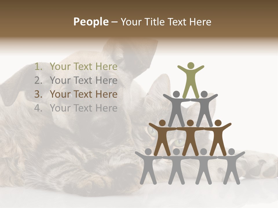 Life Woman Maine Coon PowerPoint Template
