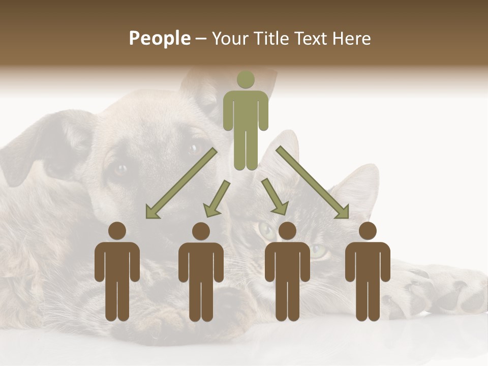 Life Woman Maine Coon PowerPoint Template