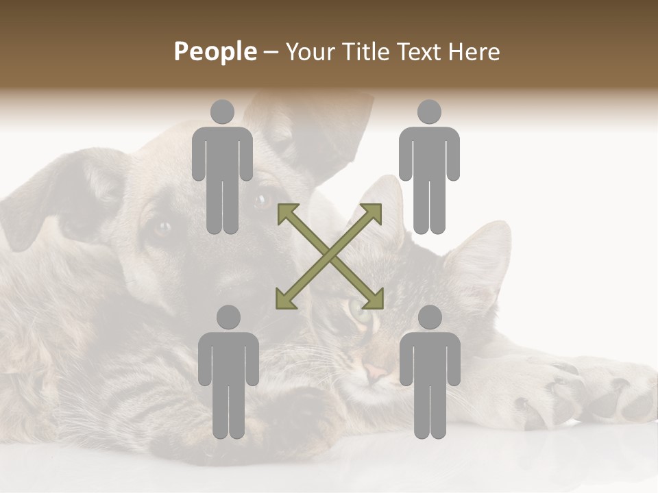 Life Woman Maine Coon PowerPoint Template