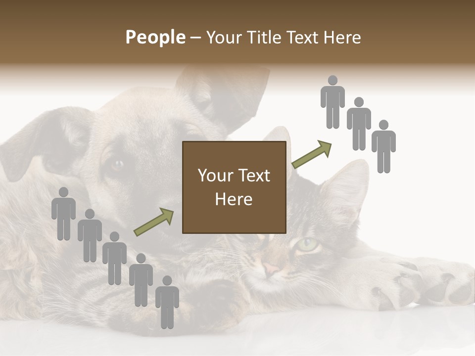 Life Woman Maine Coon PowerPoint Template