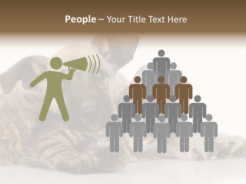 Life Woman Maine Coon PowerPoint Template