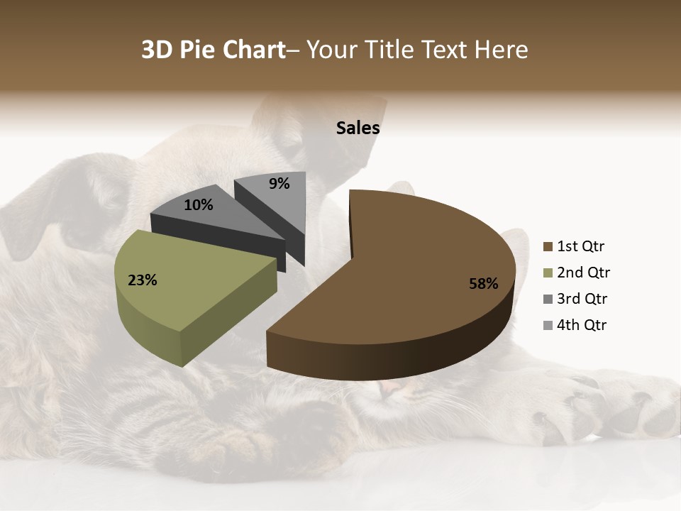 Life Woman Maine Coon PowerPoint Template