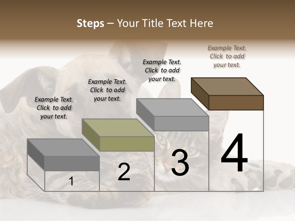 Life Woman Maine Coon PowerPoint Template