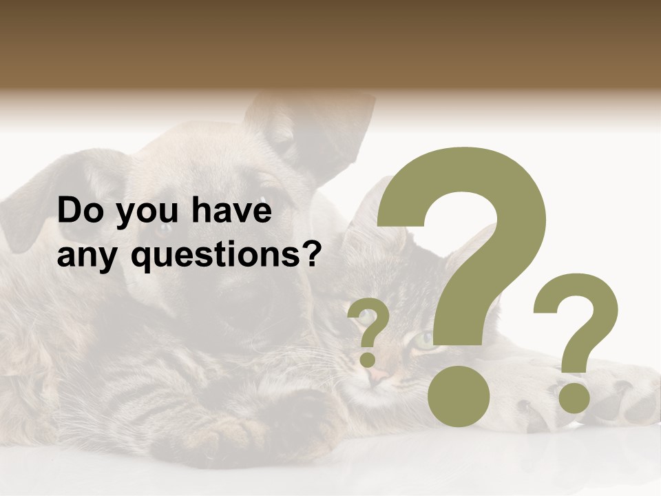 Life Woman Maine Coon PowerPoint Template