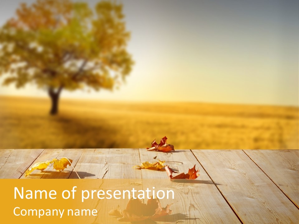 Vibrant Aged Park PowerPoint Template