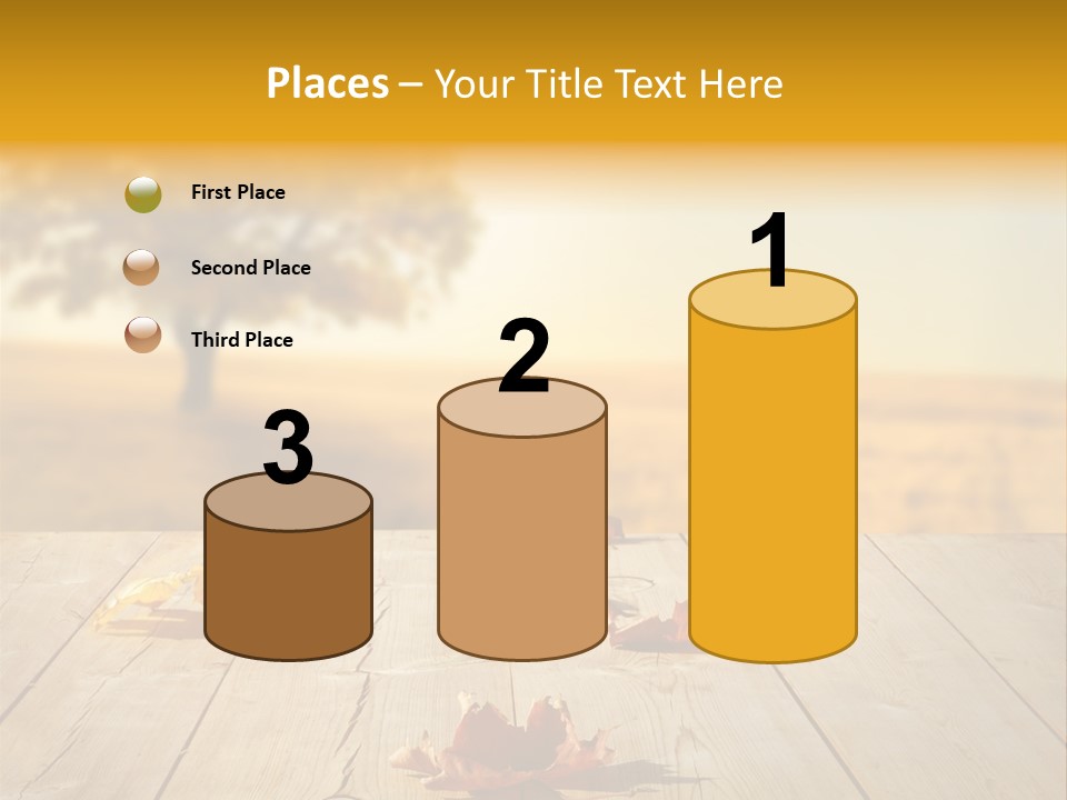 Vibrant Aged Park PowerPoint Template